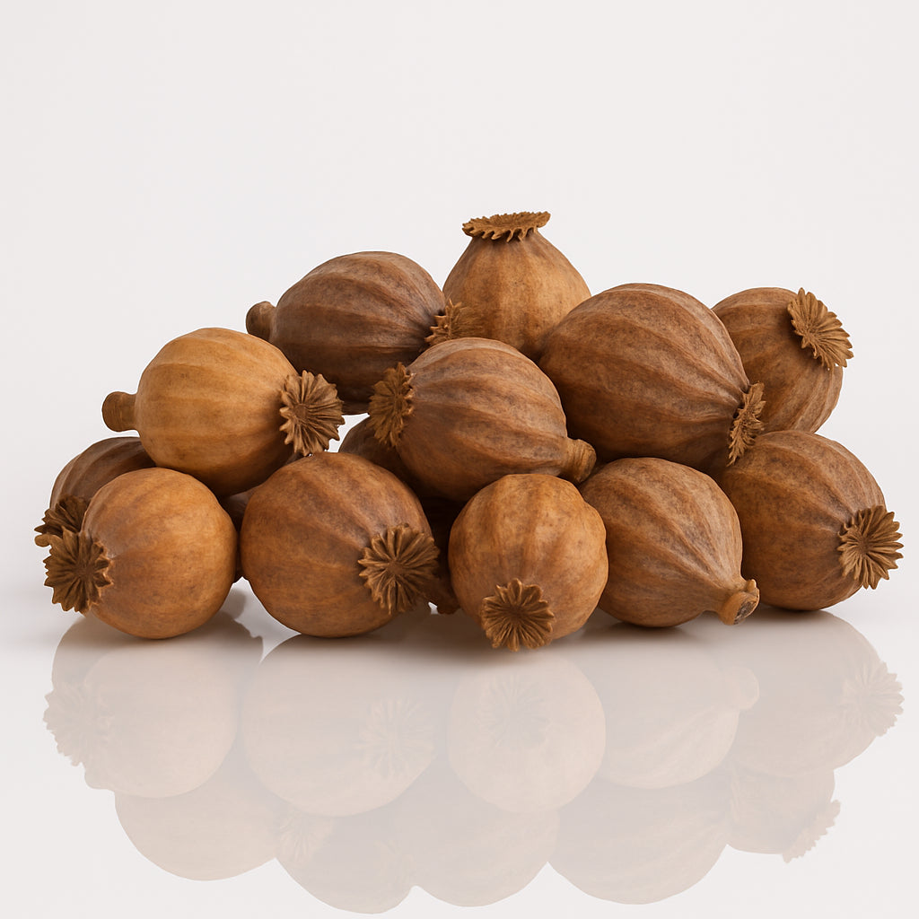 Premium Dried Brown Poppy Pods (1.5 KG) – Natural Poppy Heads for Craft, Wreaths & Floral Home Decor